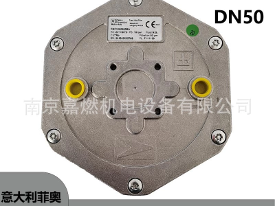 FIO>菲奧>燃?xì)饪諝?過濾器>10606(RP2）